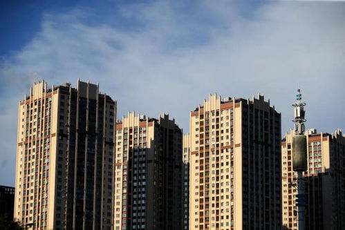 王石再预测中国未来房地产走向 若无意外,或较大概率又是对的