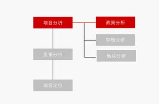 旧城改造高端房地产项目产品定位 215页